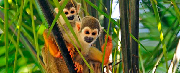 cuenca and quito blog foto