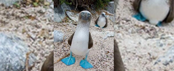 foto blog ecuador coast