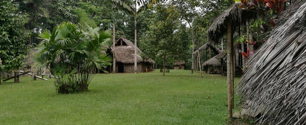 shinopi bolon blog foto