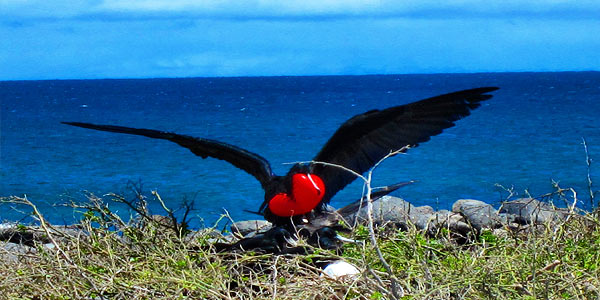 Study abroad students in Ecuador