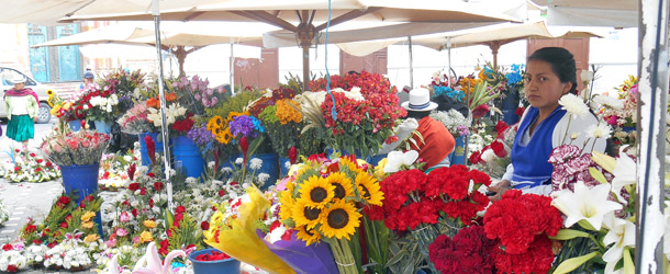 Study abroad in Ecuador