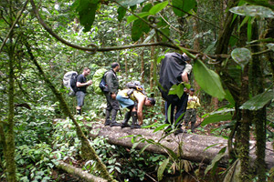 exploring the amazon rain forest from Baños in Ecuador