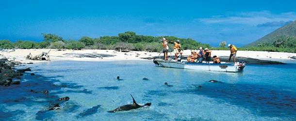 Galapagos Islands hopping tours